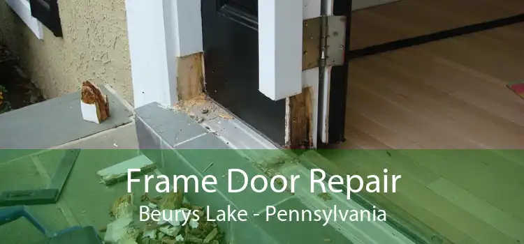 Frame Door Repair Beurys Lake - Pennsylvania