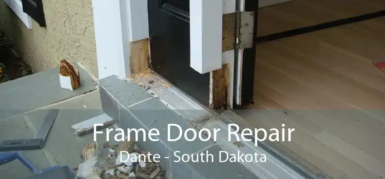 Frame Door Repair Dante - South Dakota