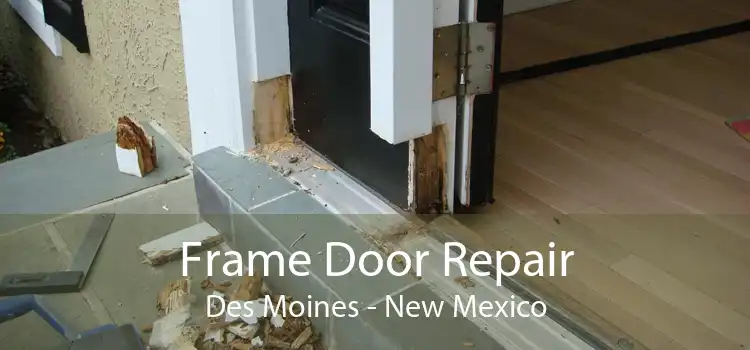 Frame Door Repair Des Moines - New Mexico