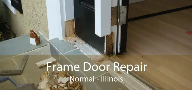 Frame Door Repair Normal - Illinois