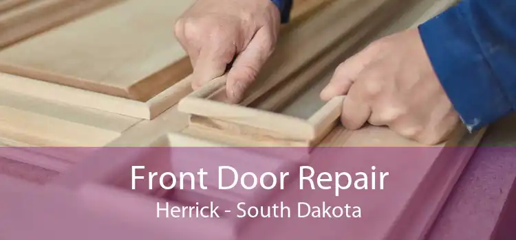 Front Door Repair Herrick - South Dakota