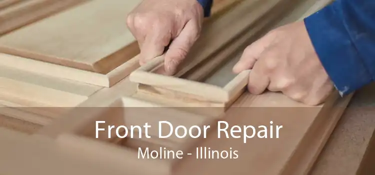 Front Door Repair Moline - Illinois