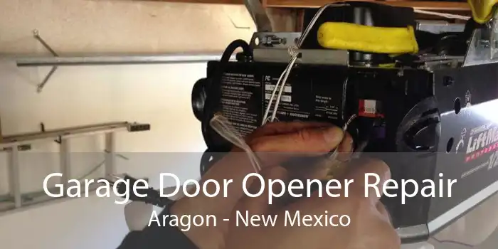 Garage Door Opener Repair Aragon - New Mexico