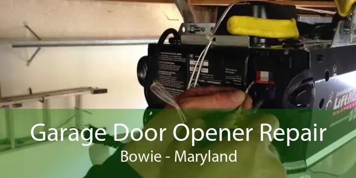 Garage Door Opener Repair Bowie - Maryland