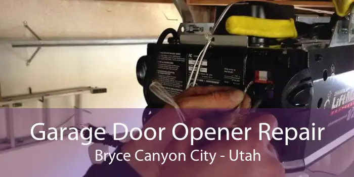 Garage Door Opener Repair Bryce Canyon City - Utah