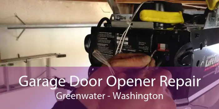 Garage Door Opener Repair Greenwater - Washington