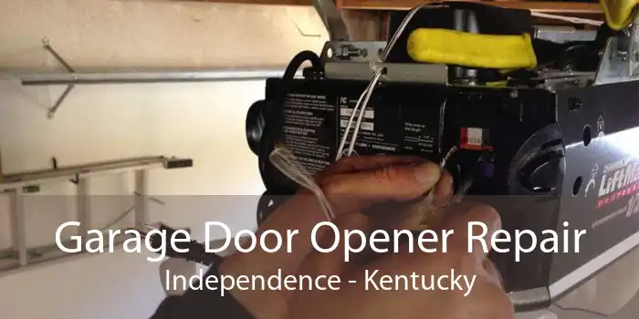 Garage Door Opener Repair Independence - Kentucky