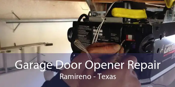 Garage Door Opener Repair Ramireno - Texas