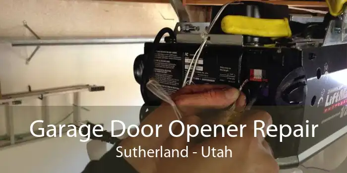 Garage Door Opener Repair Sutherland - Utah