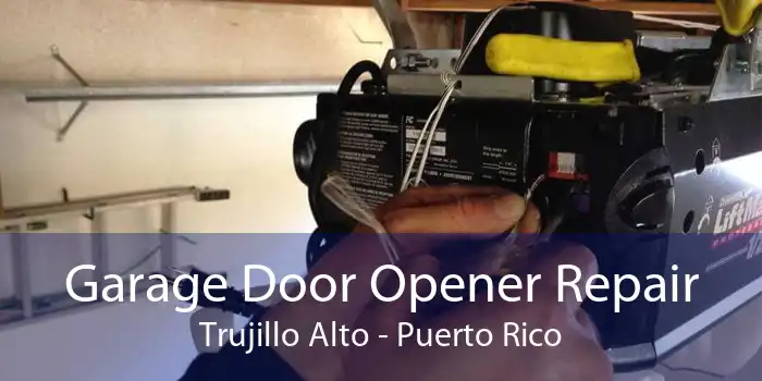 Garage Door Opener Repair Trujillo Alto - Puerto Rico