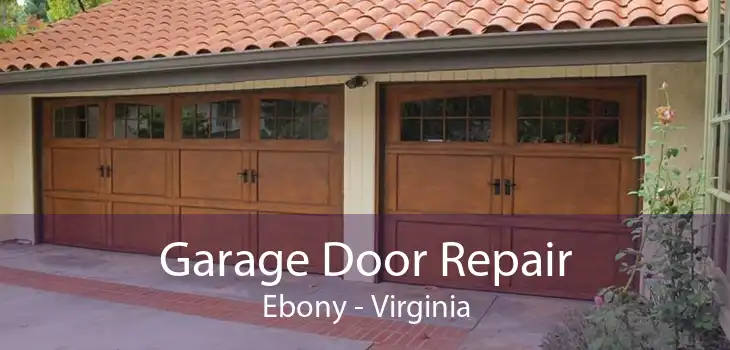 Garage Door Repair Ebony - Virginia