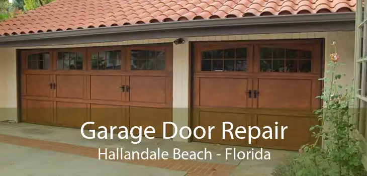 Garage Door Repair Hallandale Beach - Florida
