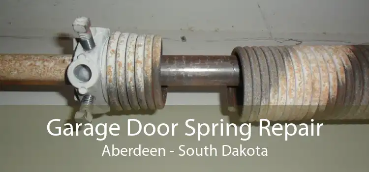 Garage Door Spring Repair Aberdeen - South Dakota