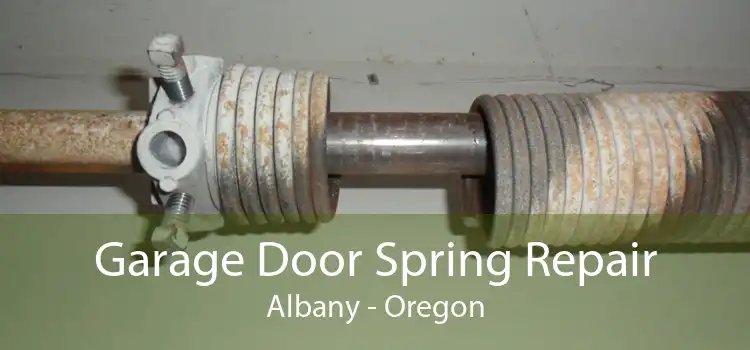 Garage Door Spring Repair Albany - Oregon