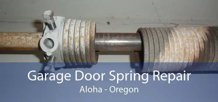 Garage Door Spring Repair Aloha - Oregon