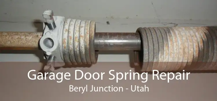 Garage Door Spring Repair Beryl Junction - Utah