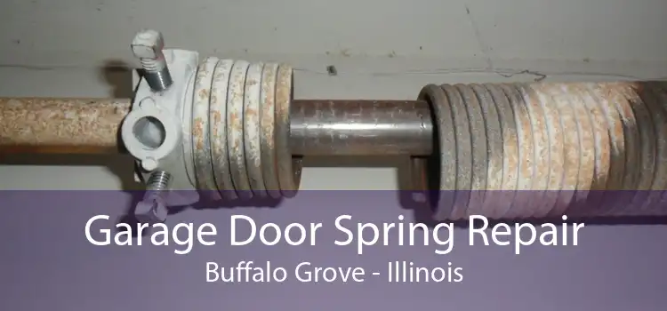 Garage Door Spring Repair Buffalo Grove - Illinois