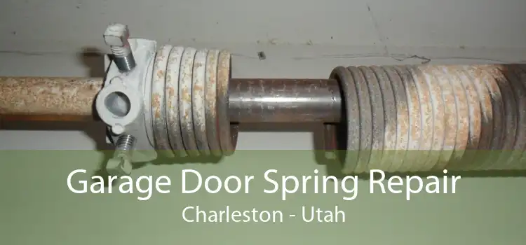 Garage Door Spring Repair Charleston - Utah