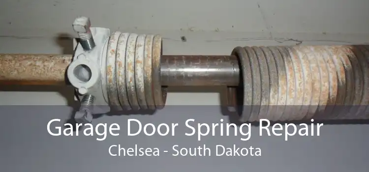 Garage Door Spring Repair Chelsea - South Dakota
