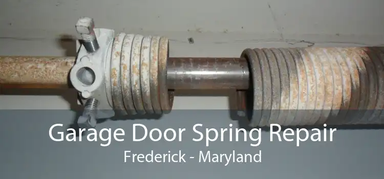 Garage Door Spring Repair Frederick - Maryland
