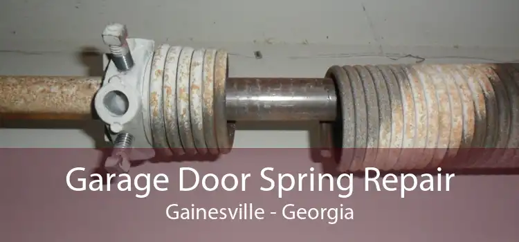 Garage Door Spring Repair Gainesville - Georgia
