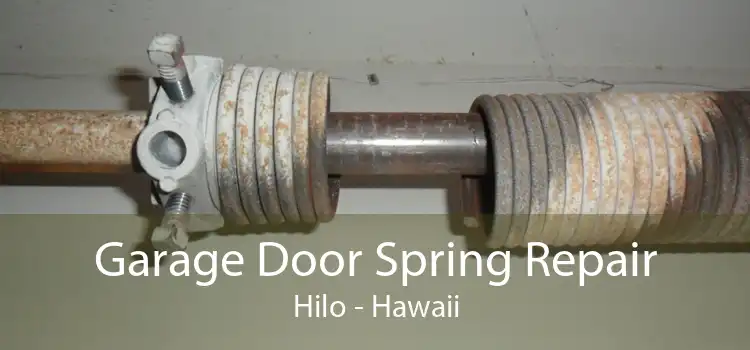Garage Door Spring Repair Hilo - Hawaii