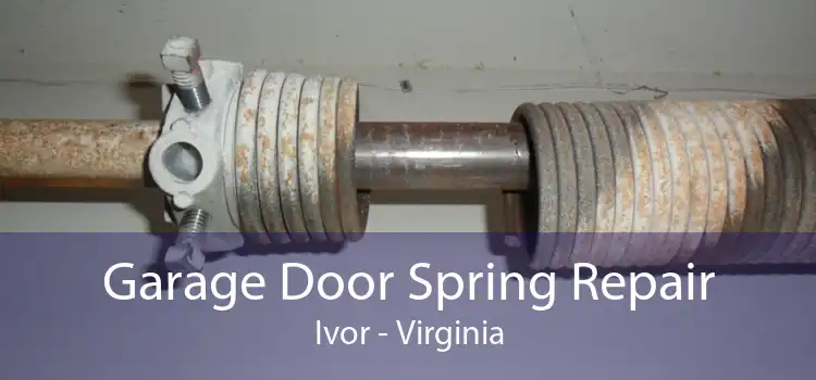 Garage Door Spring Repair Ivor - Virginia