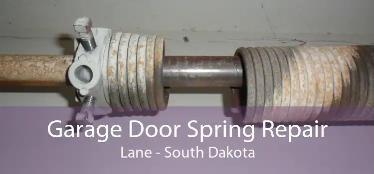 Garage Door Spring Repair Lane - South Dakota