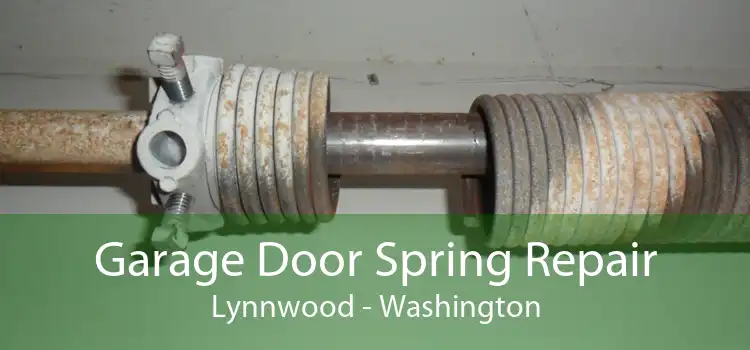 Garage Door Spring Repair Lynnwood - Washington