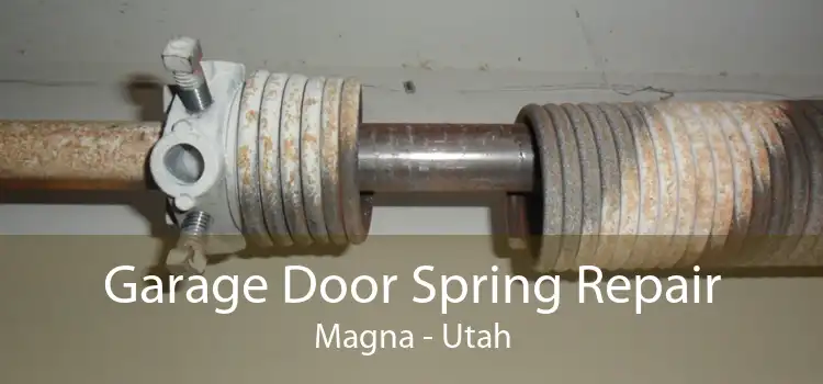 Garage Door Spring Repair Magna - Utah