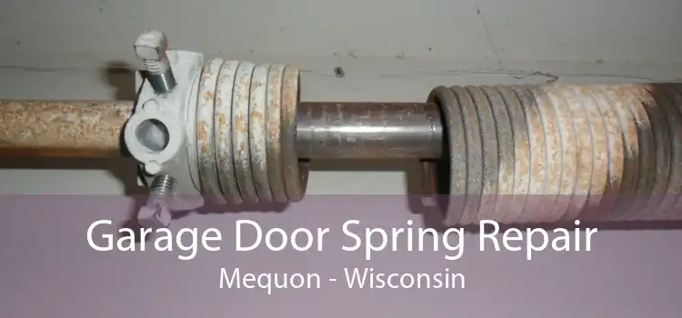 Garage Door Spring Repair Mequon - Wisconsin