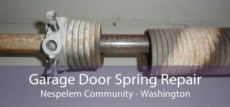 Garage Door Spring Repair Nespelem Community - Washington