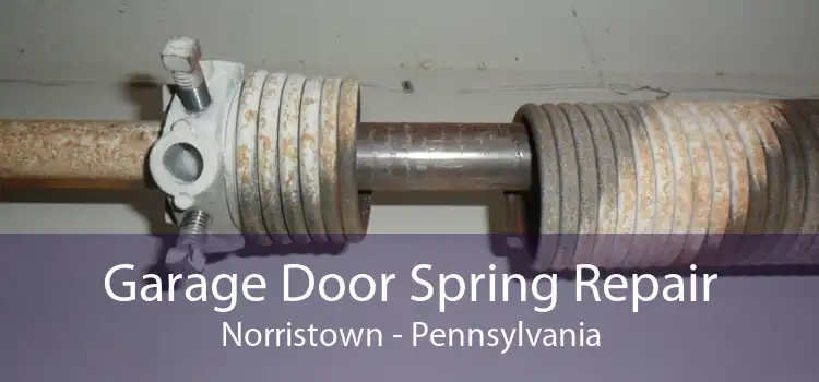 Garage Door Spring Repair Norristown - Pennsylvania