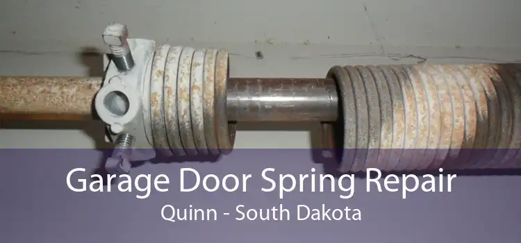 Garage Door Spring Repair Quinn - South Dakota