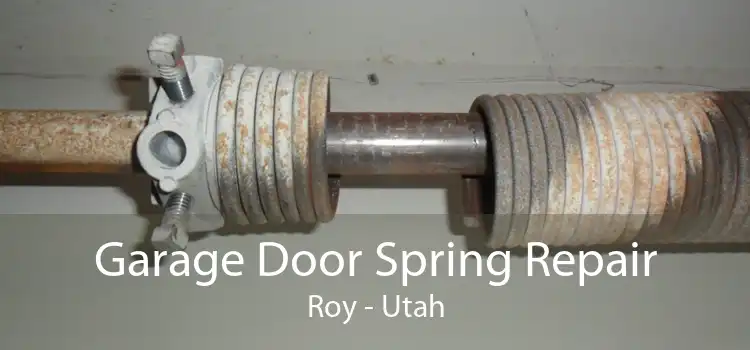 Garage Door Spring Repair Roy - Utah