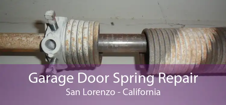 Garage Door Spring Repair San Lorenzo - California