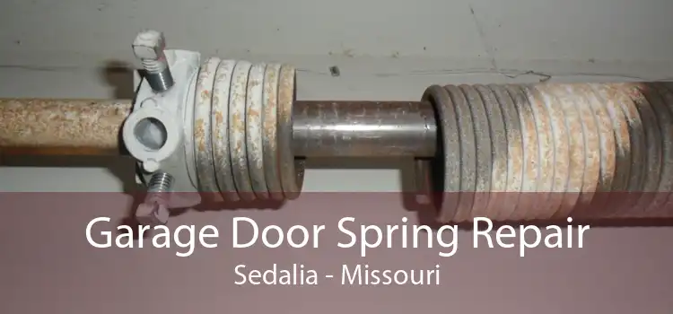 Garage Door Spring Repair Sedalia - Missouri