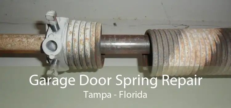 Garage Door Spring Repair Tampa - Florida