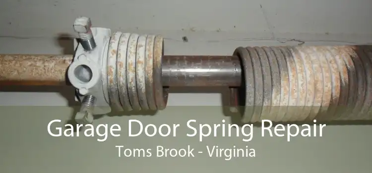 Garage Door Spring Repair Toms Brook - Virginia