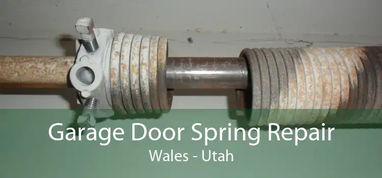 Garage Door Spring Repair Wales - Utah