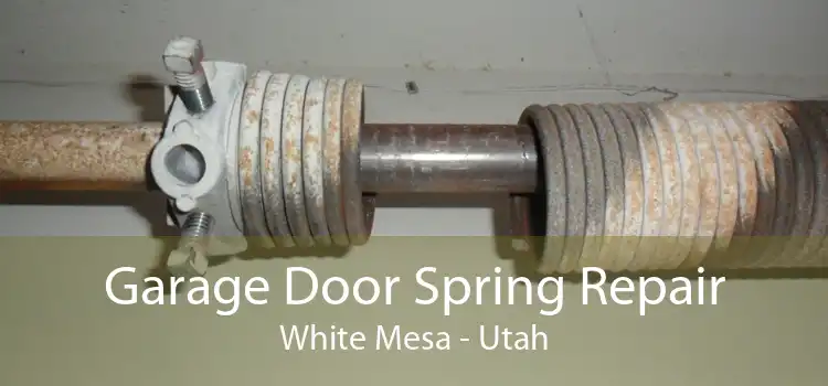 Garage Door Spring Repair White Mesa - Utah