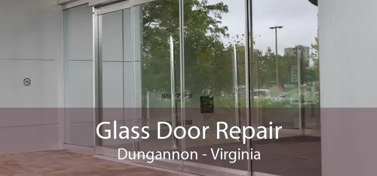 Glass Door Repair Dungannon - Virginia