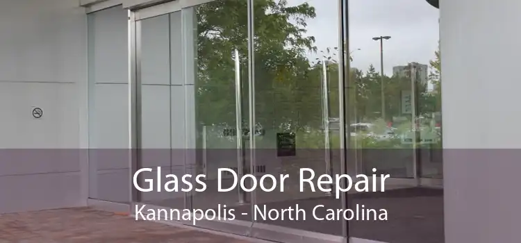 Glass Door Repair Kannapolis - North Carolina