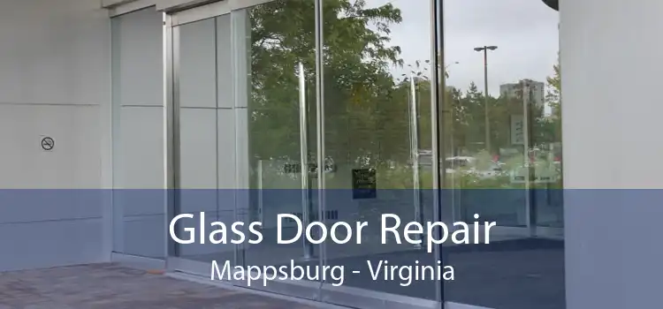 Glass Door Repair Mappsburg - Virginia