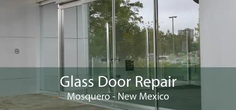 Glass Door Repair Mosquero - New Mexico