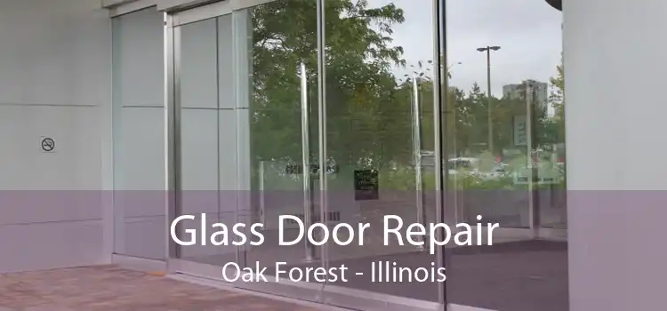 Glass Door Repair Oak Forest - Illinois