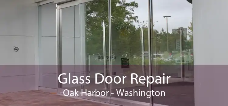 Glass Door Repair Oak Harbor - Washington