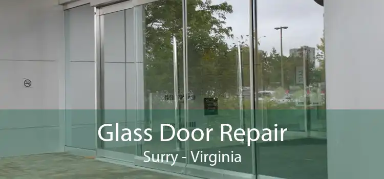 Glass Door Repair Surry - Virginia