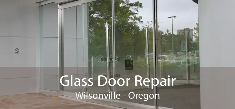 Glass Door Repair Wilsonville - Oregon