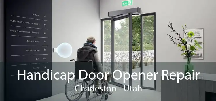 Handicap Door Opener Repair Charleston - Utah